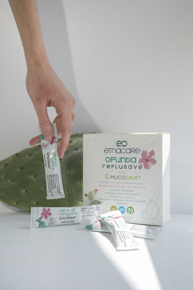 Opuntia Reflusave - immagine 2