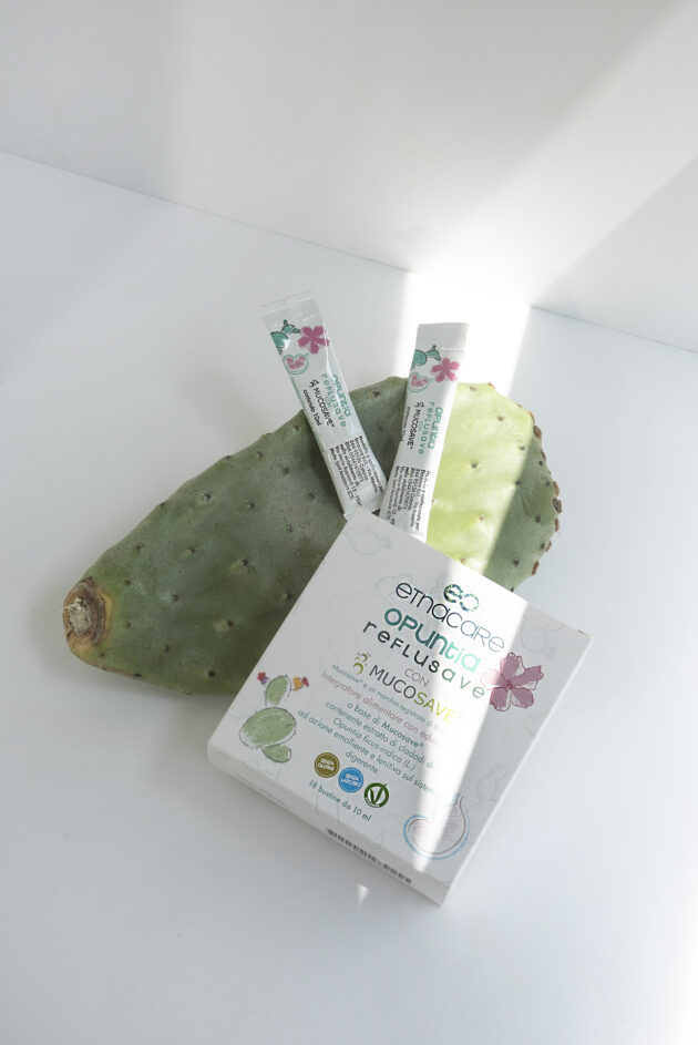 Opuntia Reflusave - immagine 3